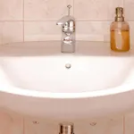 V Objemu Gora * בוהין