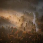 דירה V Objemu Gora