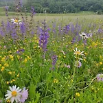 דירה V Objemu Gora *