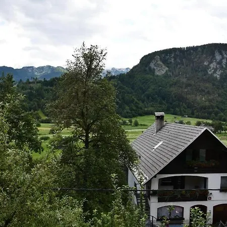 V Objemu Gora * Bohinji-tó