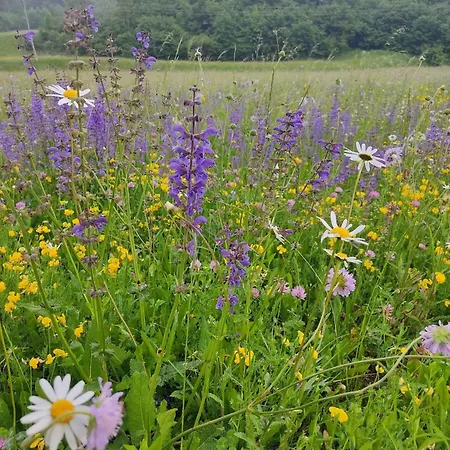 Apartman V Objemu Gora *