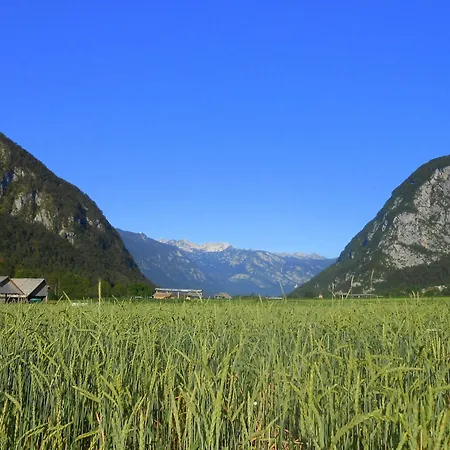 V Objemu Gora Бохинь