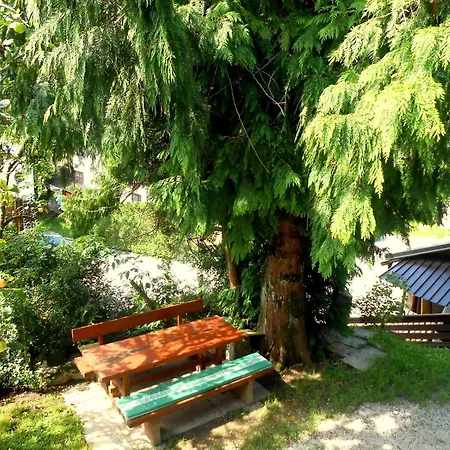 V Objemu Gora Apartment *