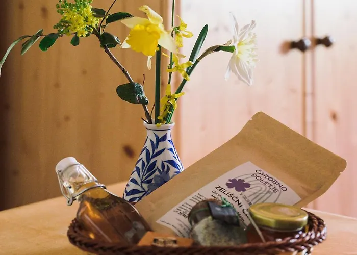 V Objemu Gora Bohinj