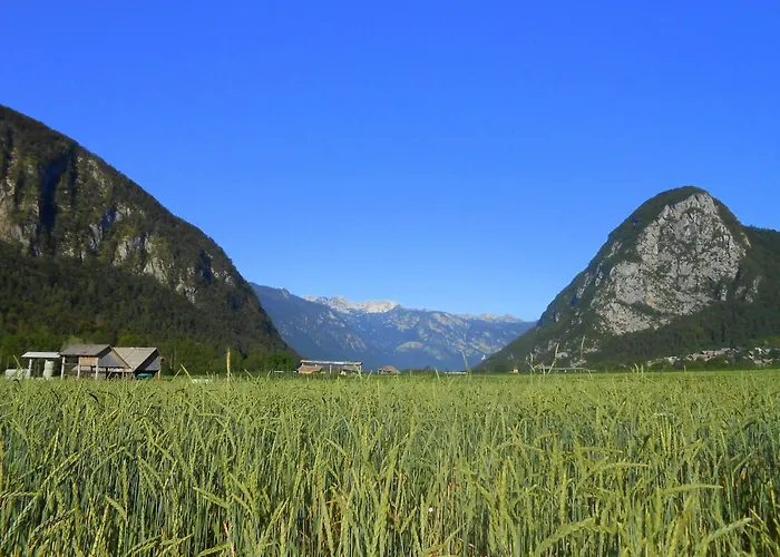 V Objemu Gora Bohinj